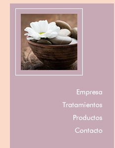 Menu empresa