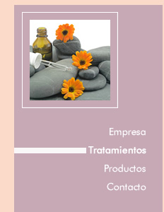 Menu empresa